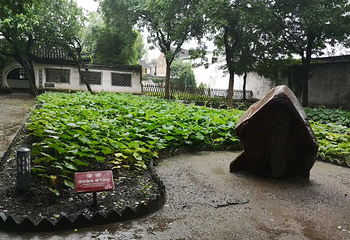 百草园第 25 张图片