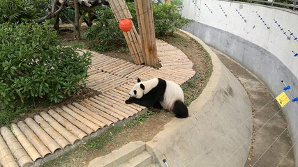 柳州动物园第 24 张图片