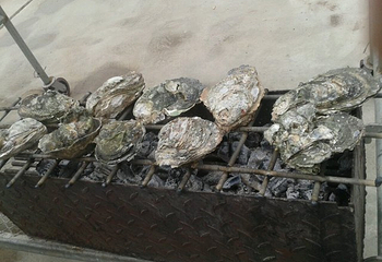 罗浮山嘉宝田218线森林温泉谷第 26 张图片