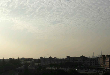 华西金塔第 4 张图片