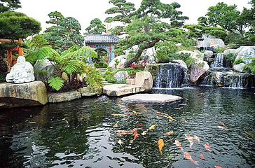 陈村花卉世界第 36 张图片