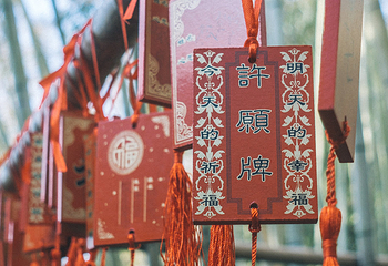 个园第 242 张图片
