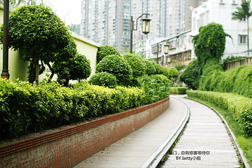 铁路文化公园第 47 张图片