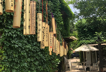 菁桐火车站第 8 张图片