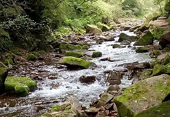 六盘山国家森林公园第 35 张图片