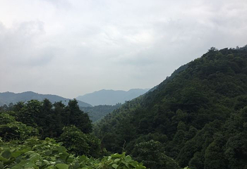 会稽山兜率天景区第 54 张图片