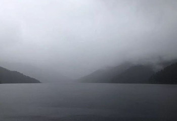 措木及日第 42 张图片