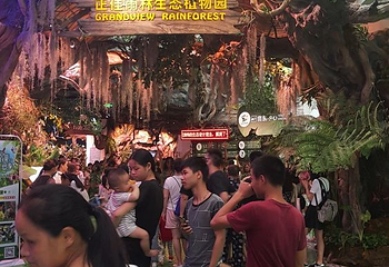 正佳雨林生态植物园第 35 张图片