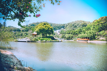 帽峰山景区第 32 张图片
