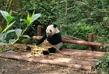 中国川菜文化体验馆第 27 张图片