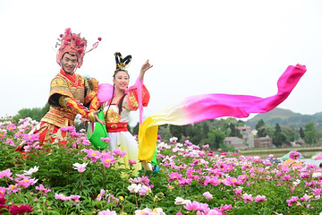 广兴芍药园第 18 张图片