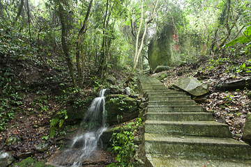 万绿湖•镜花缘游览区第 51 张图片