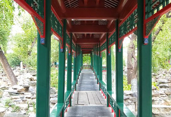 北京宋庆龄故居第 40 张图片