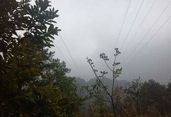 广西梧州白云山景区第 10 张图片
