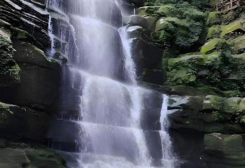碧峰峡景区第 172 张图片