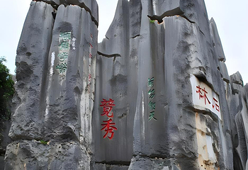 石林风景区第 310 张图片