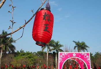 一棵树庄园第 27 张图片