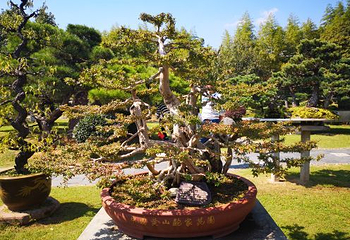 棠樾牌坊群鲍家花园第 43 张图片