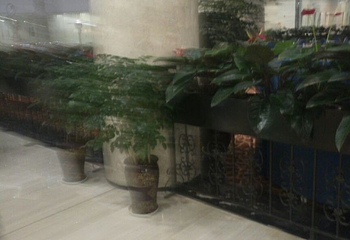云泉温泉SPA第 17 张图片