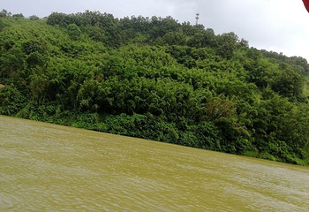 绥江竹海生态旅游景区第 23 张图片