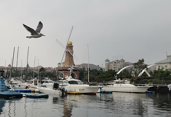 星海湾跨海大桥第 13 张图片