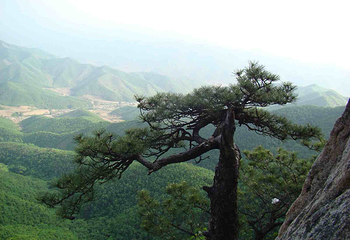 白云山第 53 张图片