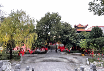 宝通禅寺第 11 张图片