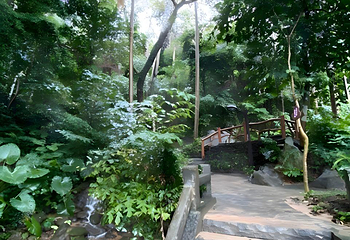 广东罗浮山风景名胜区第 69 张图片