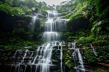 碧峰峡景区第 15 张图片