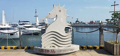 青岛银海国际游艇俱乐部第 83 张图片