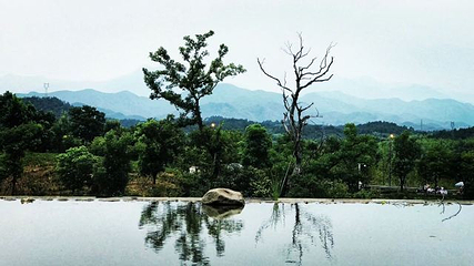灵峰山-灵峰寺第 25 张图片