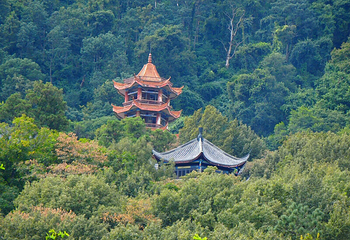 泸山第 29 张图片
