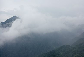 翠华山·秦岭终南山世界地质公园第 113 张图片