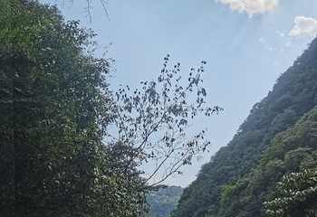 山湾湾激流探险第 20 张图片