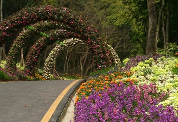 花香田园第 24 张图片