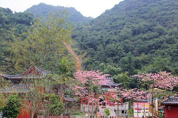 鹿峰山风景区第 41 张图片