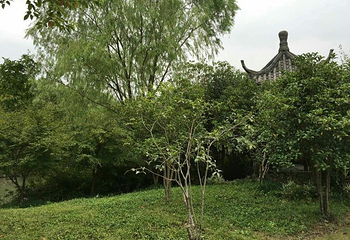 皋亭山第 26 张图片