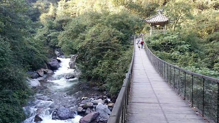 黑竹沟风景名胜区第 43 张图片