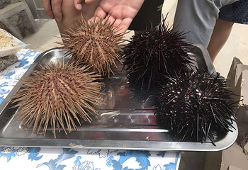 那香海鸡鸣岛第 81 张图片