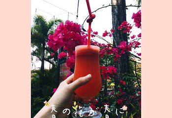 聚龙小镇第 25 张图片