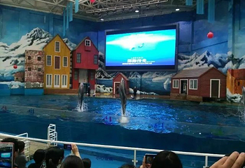 3D错觉体验馆第 14 张图片