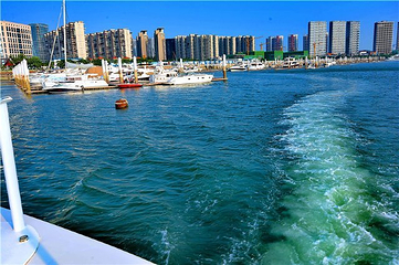 厦门希仕会游艇出海第 26 张图片