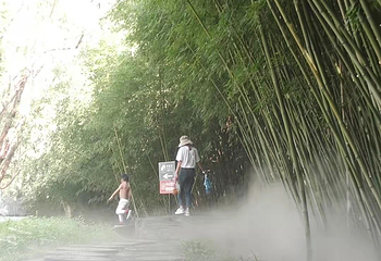 雪山彩虹谷旅游区第 53 张图片