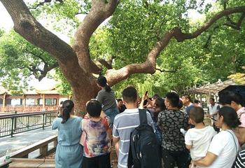 藏王墓第 14 张图片