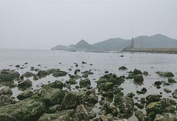 莲花山观景台第 21 张图片