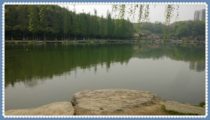 麓谷公园第 7 张图片