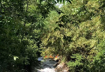 天池峪漂流第 4 张图片