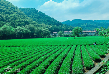 茅家埠景区第 20 张图片