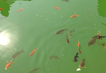 通天峡风景区第 108 张图片