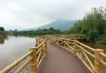 烟雨鹭洲湿地公园第 28 张图片